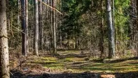 Mazury u progu wiosny, ujęcia z różnych miejsc - zdjęcie 66