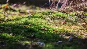 Mazury u progu wiosny, ujęcia z różnych miejsc - zdjęcie 23