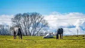 Mazury u progu wiosny, ujęcia z różnych miejsc - zdjęcie 47