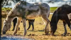 Mazury u progu wiosny, ujęcia z różnych miejsc - zdjęcie 18