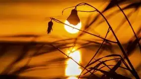 Za takie wschody słońca kochamy Mazury - zdjęcie 69