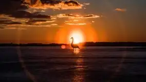 Miłośnicy Mazur - przedwiośnie na zdjęciach Staszka Sielewicza - zdjęcie 1