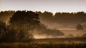 Miłośnicy Mazur - przedwiośnie na zdjęciach Staszka Sielewicza - zdjęcie 25