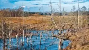 Miłośnicy Mazur - przedwiośnie na zdjęciach Staszka Sielewicza - zdjęcie 3