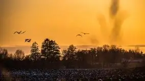 Miłośnicy Mazur - przedwiośnie na zdjęciach Staszka Sielewicza - zdjęcie 42