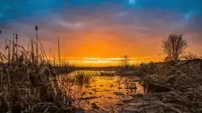 Miłośnicy Mazur - przedwiośnie na zdjęciach Staszka Sielewicza - zdjęcie 46