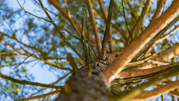 Przedwiośnie 2021 nad jeziorem Białym - zdjęcie 4