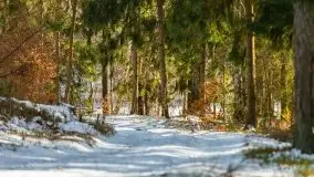 Przedwiośnie 2021 nad jeziorem Białym - zdjęcie 12