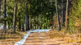 Przedwiośnie 2021 nad jeziorem Białym - zdjęcie 25