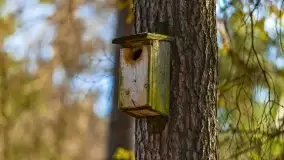 Przedwiośnie 2021 nad jeziorem Białym - zdjęcie 47