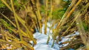 Przedwiośnie 2021 nad jeziorem Białym - zdjęcie 56