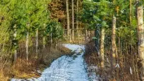 Przedwiośnie 2021 nad jeziorem Białym - zdjęcie 64