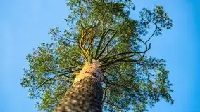 Przedwiośnie 2021 nad jeziorem Białym - zdjęcie 54