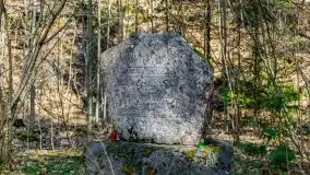 Wiosna w rezerwacie przyrody Borki, marzec 2021 - zdjęcie 20