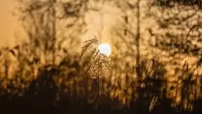 Zachód słońca nad jeziorem Gołdopiwo, od strony Przerwanek - zdjęcie 17