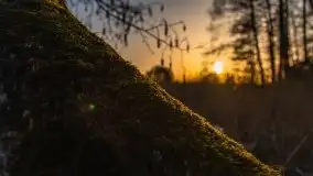 Zachód słońca nad jeziorem Gołdopiwo, od strony Przerwanek - zdjęcie 25