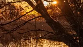 Zachód słońca nad jeziorem Gołdopiwo, od strony Przerwanek - zdjęcie 7