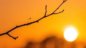 Zachód słońca nad jeziorem Gołdopiwo, od strony Przerwanek - zdjęcie 24