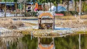 Przeprawa na Mazury, rzeki Narew i Pisa - zdjęcie 29