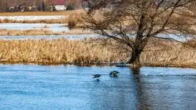 Przeprawa na Mazury, rzeki Narew i Pisa - zdjęcie 30