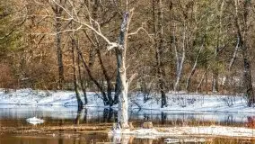 Przeprawa na Mazury, rzeki Narew i Pisa - zdjęcie 41