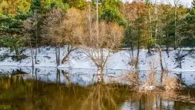 Przeprawa na Mazury, rzeki Narew i Pisa - zdjęcie 43