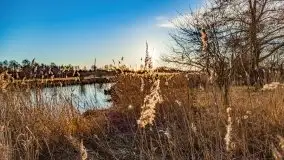 Przeprawa na Mazury, rzeki Narew i Pisa - zdjęcie 102