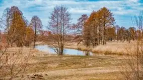 Przeprawa na Mazury, rzeki Narew i Pisa - zdjęcie 77