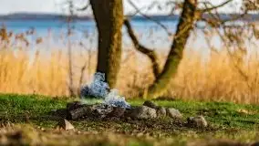 Wiosenny las przy jeziorze Gołdopiwo - zdjęcie 2