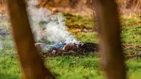 Wiosenny las przy jeziorze Gołdopiwo - zdjęcie 25