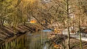 Szukaliśmy oznak wiosny w Olecku - zdjęcie 19