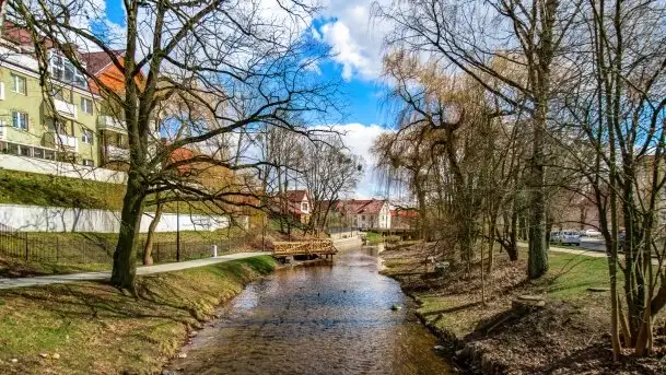 Szukaliśmy oznak wiosny w Olecku - zdjęcie 2