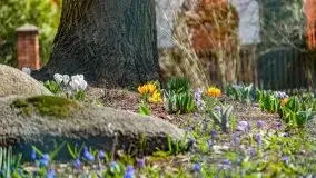 Szukaliśmy oznak wiosny w Olecku - zdjęcie 39