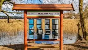 Szukaliśmy oznak wiosny w Olecku - zdjęcie 43