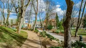 Szukaliśmy oznak wiosny w Olecku - zdjęcie 68