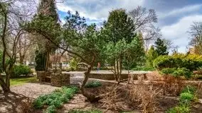 Szukaliśmy oznak wiosny w Olecku - zdjęcie 62