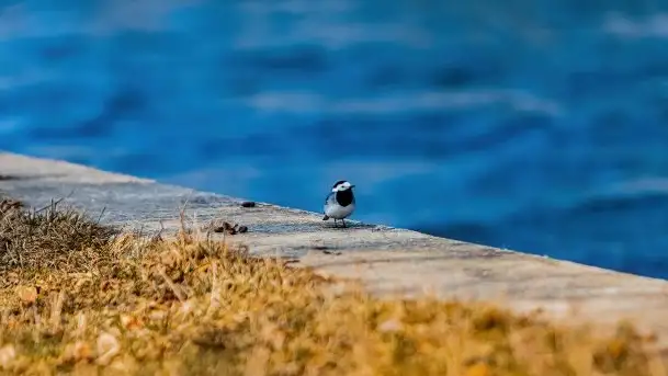 Śluza Karwik na początku wiosny 2021 - zdjęcie 4