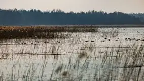 Śluza Karwik na początku wiosny 2021 - zdjęcie 10