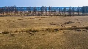 Przedwiośnie przy rzece Białoławka, marzec 2021 - zdjęcie 7