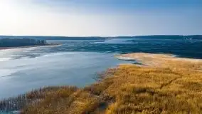 Przedwiośnie przy rzece Białoławka, marzec 2021 - zdjęcie 5