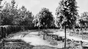 Przedwojenne zdjęcia Ostródy (Osterode) - zdjęcie 121