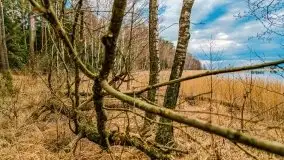 Kwietniowy deszczowy zachód słońca nad jeziorem Kruklin - zdjęcie 11