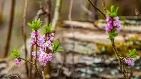 Kwietniowy deszczowy zachód słońca nad jeziorem Kruklin - zdjęcie 7