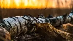 Kwietniowy deszczowy zachód słońca nad jeziorem Kruklin - zdjęcie 32