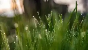 Kwietniowy wschód słońca nad jeziorem Kruklin - zdjęcie 34