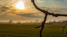 Kwietniowy wschód słońca nad jeziorem Kruklin - zdjęcie 35