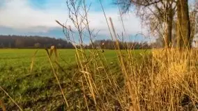 Kwietniowy wschód słońca nad jeziorem Kruklin - zdjęcie 19