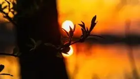 Wiosenny wschód słońca nad jeziorem Stręgiel - zdjęcie 17