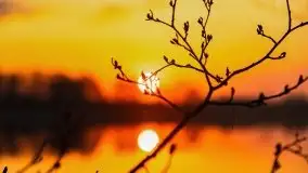 Wiosenny wschód słońca nad jeziorem Stręgiel - zdjęcie 33