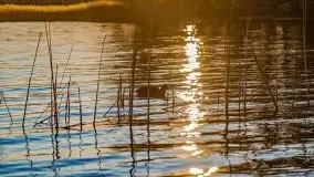 Kwietniowy zachód słońca w Mrągowie - zdjęcie 6